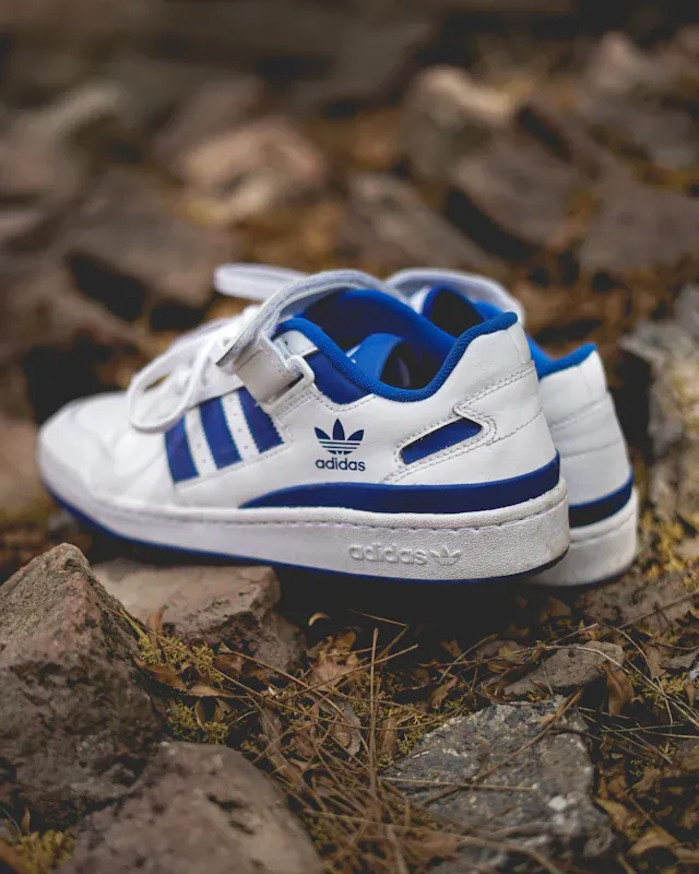 Adidas Forum Low